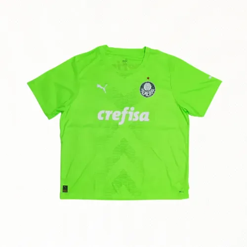 Camisa Palmeiras Goleiro II 2023/24 Modelo Jogador