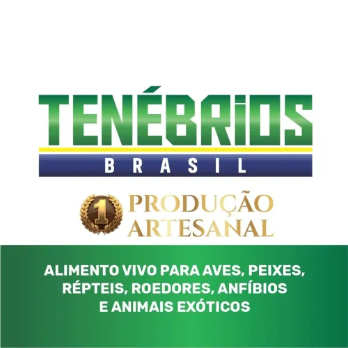 Tenébrios Brasil (Molitor e Gigantes)