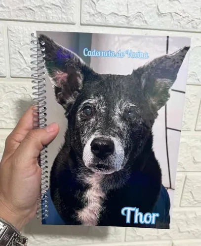 Caderneta de Vacina Personalizada - Dog
