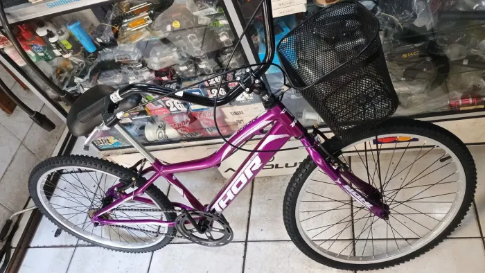 Bicicleta Aro 24 THOR com Cesta 