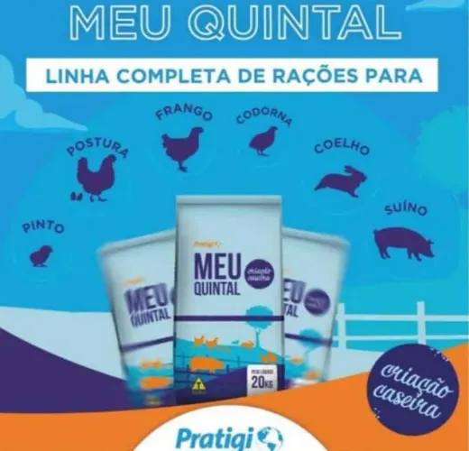 Ração de Frango para engorda  e postura 20kg