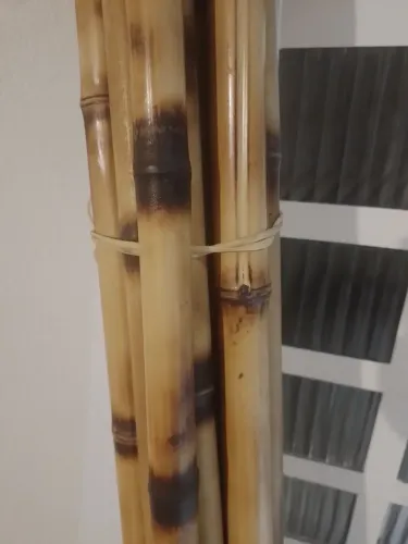 VARAS DE BAMBU TRATADAS