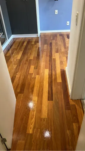 Melhor preço e qualidade venha APLICADORA JM .