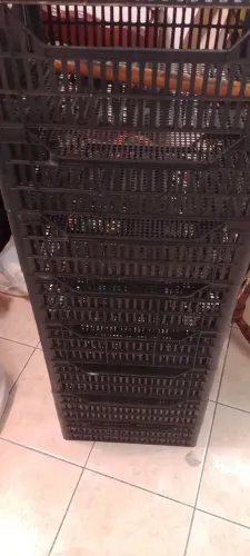 Caixas de Plástico para colocar ferramentas, brinquedos frutas