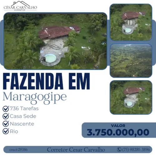 FAZENDA EM MARAGOGIPE - 736 TAREFAS