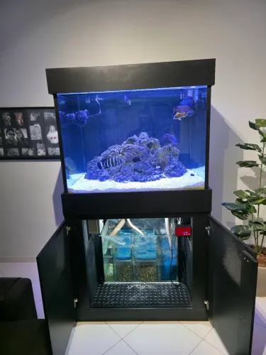 Aquário 600 litros completo