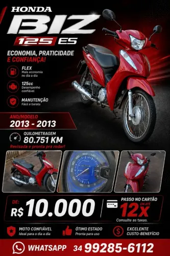 Biz es 2013 2013 flex