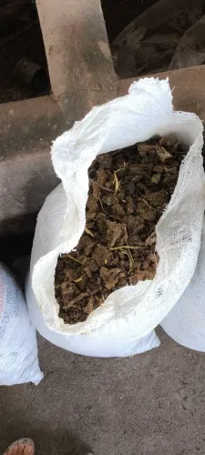 Esterco Bovino