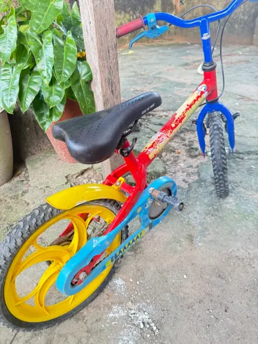 Bicicleta 