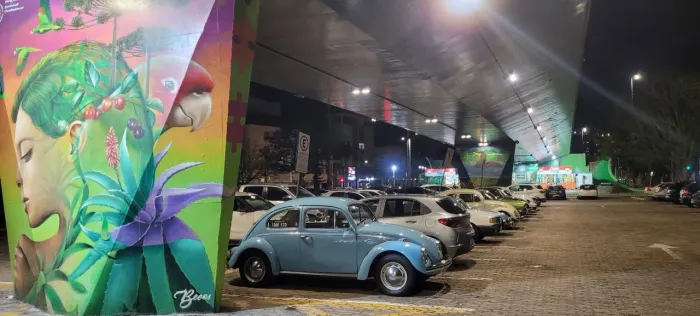 Volkswagen Fusca Fusca (gasolina) 1973