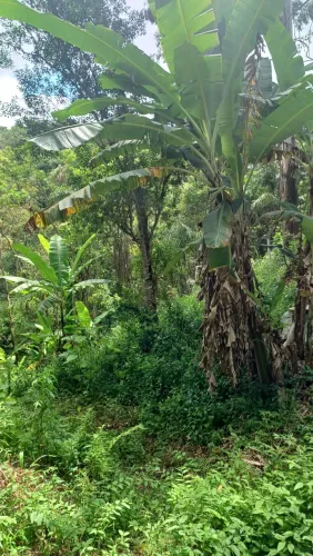 Ótimo terreno