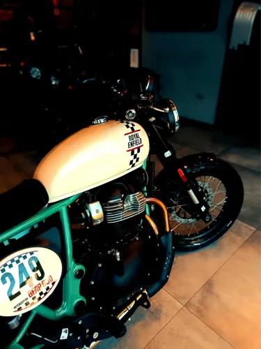Bear 650 - Danielle 