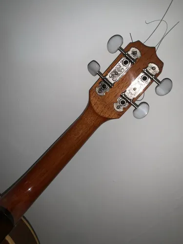 Banjo elétrico rosini 