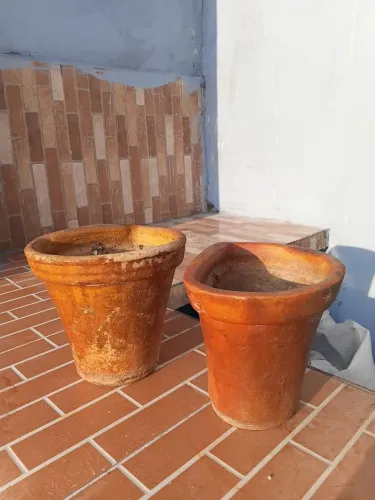 Vasos para planta