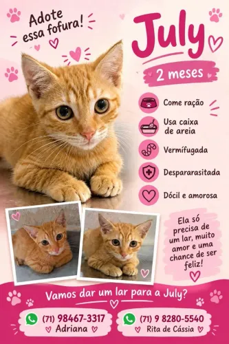 Adote essa Fofura