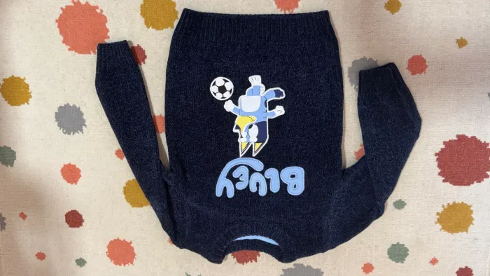 Blusa bluey original