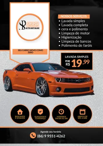Estética Automotiva Splash - Lavagem Simples a partir de R$ 19,99 | Buscamos e Levamos!