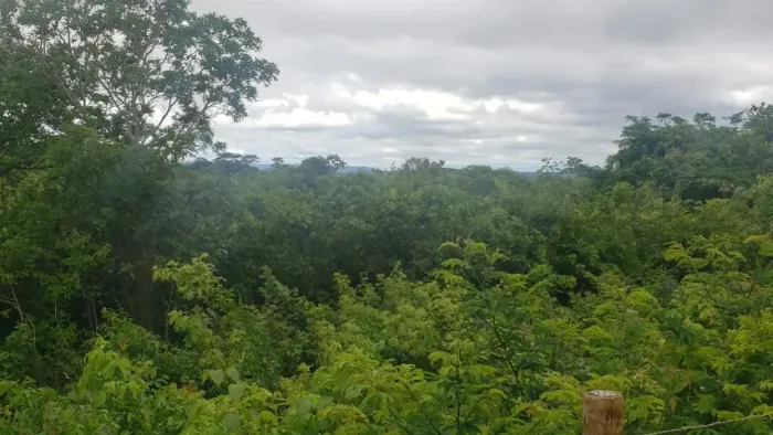 Chácara 2,500 MTS na serra do cipó * leia o anúncio