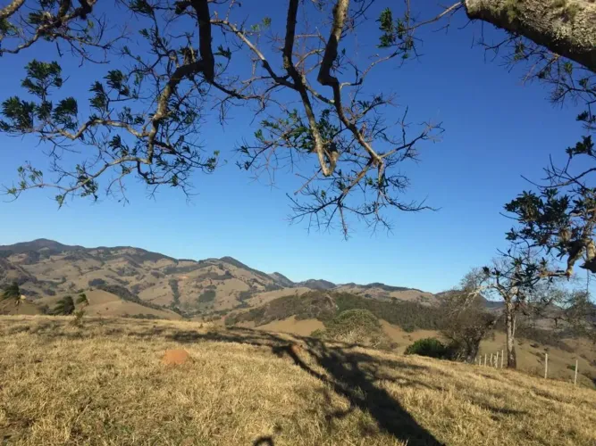 Lote/Terreno para venda possui 108.000 metros quadrados em Centro - Consolação - MG
