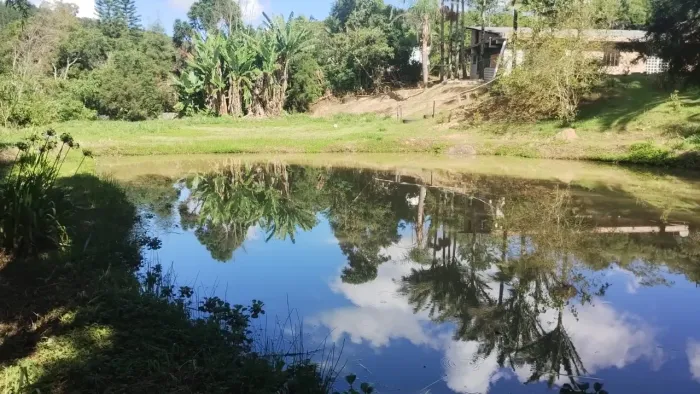 Sitio Em Piedade