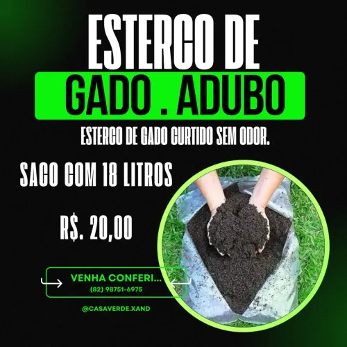 Esterco de gado curtido adubo 