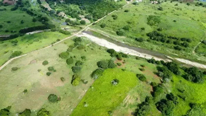 Excelente Fazenda com 38 hectares em monte alegre