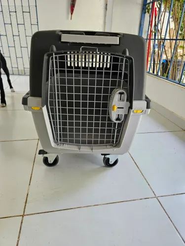 Caixa de transporte de PETs n°4