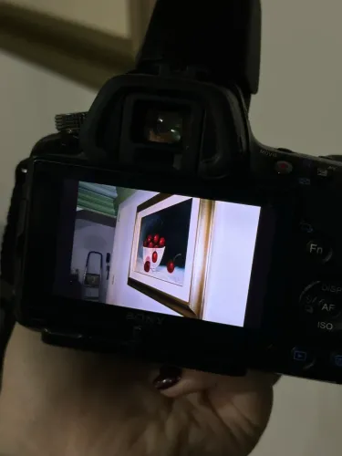 Sony A55V + Lente 18-55mm + Bolsa + Carregador Original