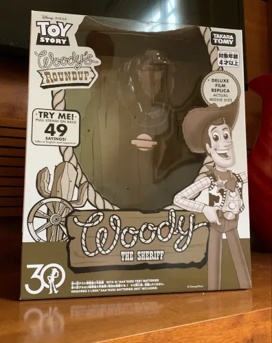 Toy Story caixa do woody