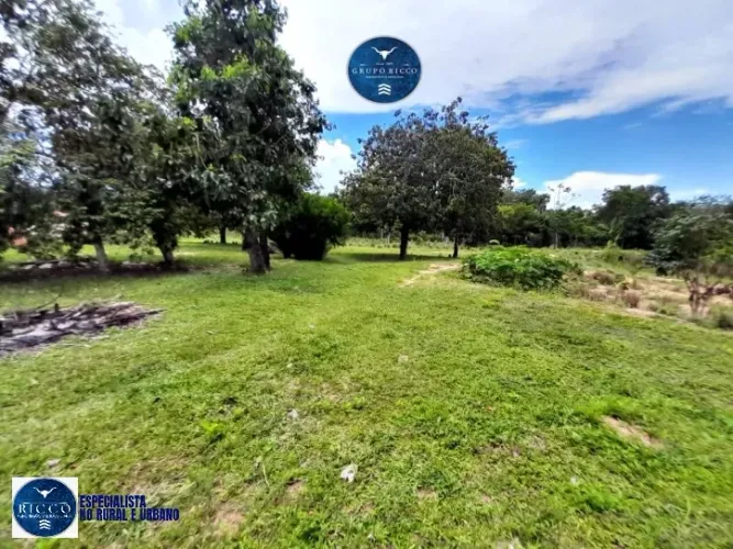 Fazenda de 90 Alqueires na Região de Vila Propício