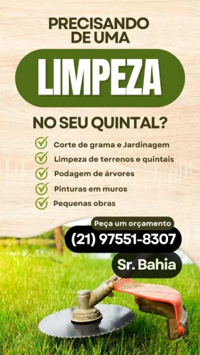 Limpeza de quintal e terrenos, corte de grama, pintura e pequenas obras 
