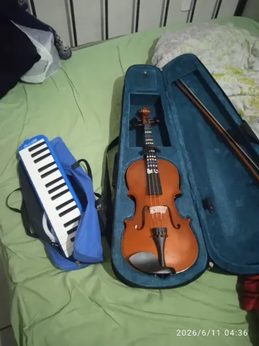 Violino