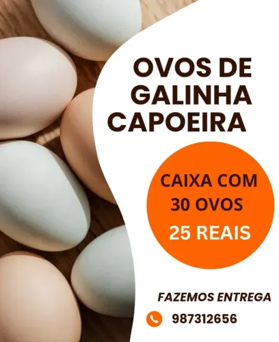 Ovos de galinha de capoeira