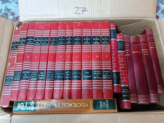 SEBO: LIVROS E COLEÇÕES - TOTAL DE 30 CAIXAS REPLETAS DE BONS LIVROS PARA LEITURA/SEBO
