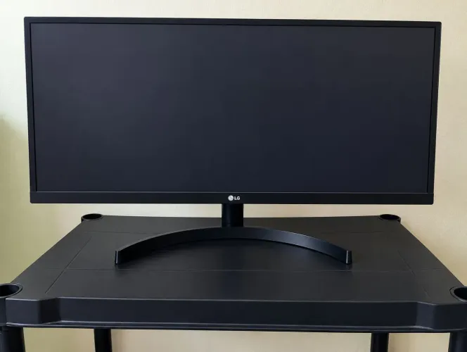 Monitor LG UltraWide 29? - Modelo 29WL500-B