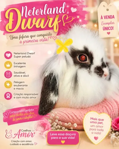 Coelha Fêmea Disponível