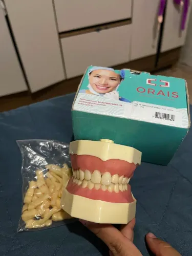 Manequim odontológico dentistica