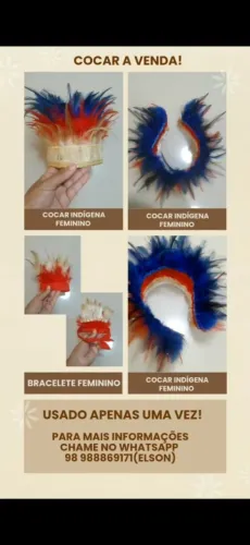 COCAR INDÍGENA
