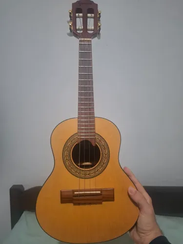 Cavaquinho gianini raiz 