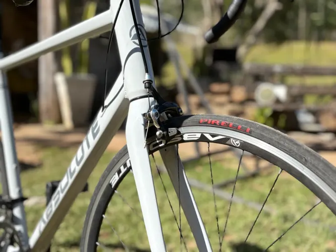 Bicicleta Speed Absolute Wild R