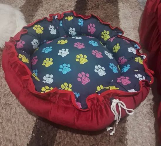 CAMINHA PARA PET