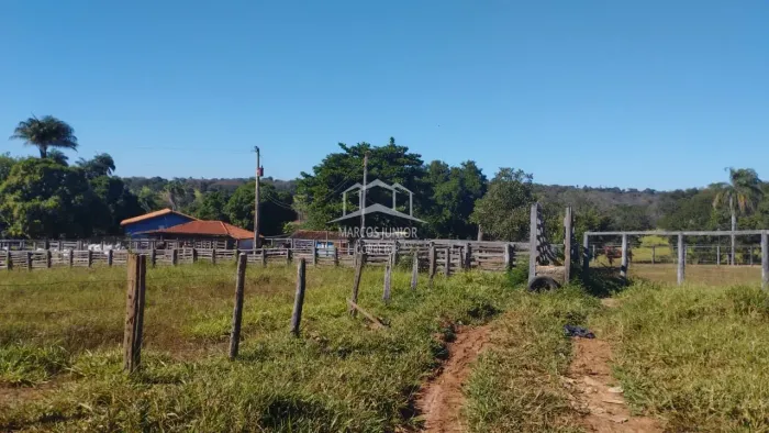 FAZENDA DE 348 HA, LOCALIZADA NA REGIÃO DE CORAÇÃO DE JESUS MG !!!