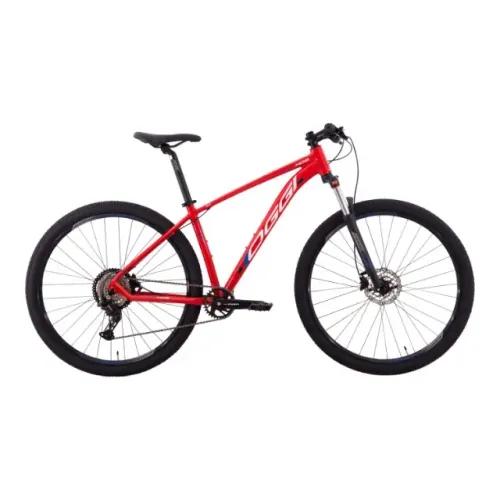 Bicicleta Oggi