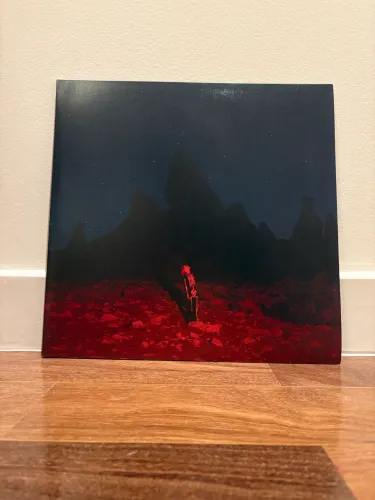 Vinil Phoebe Bridgers - Punisher
