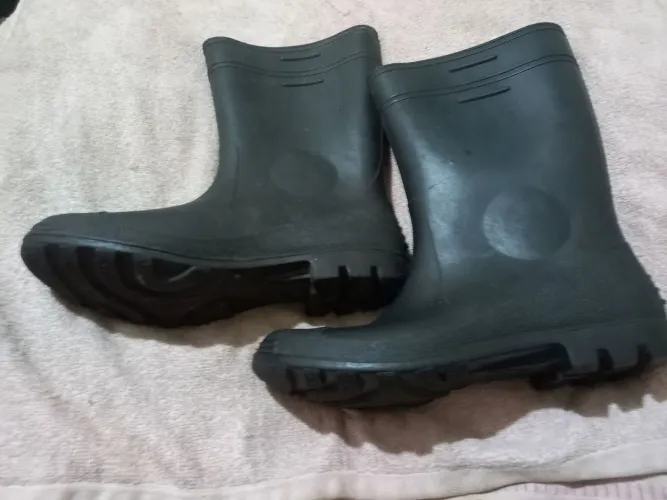 Botas