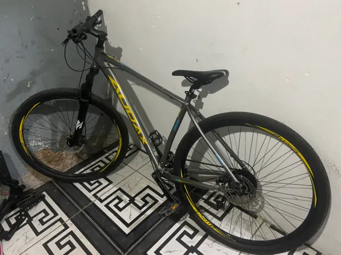 Bicicleta audax ADX