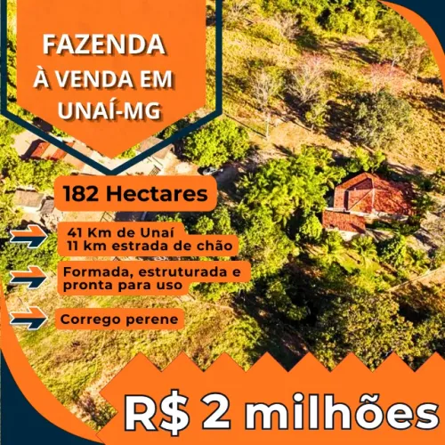 FAZENDA DE 182 HECTARES - REGIÃO DE UNAÍ/MG