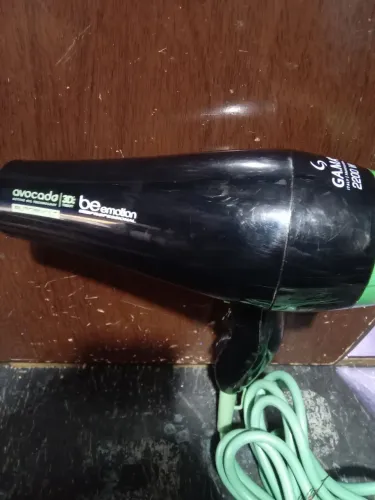 Secador profissional gama 220v 