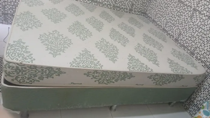 Cama