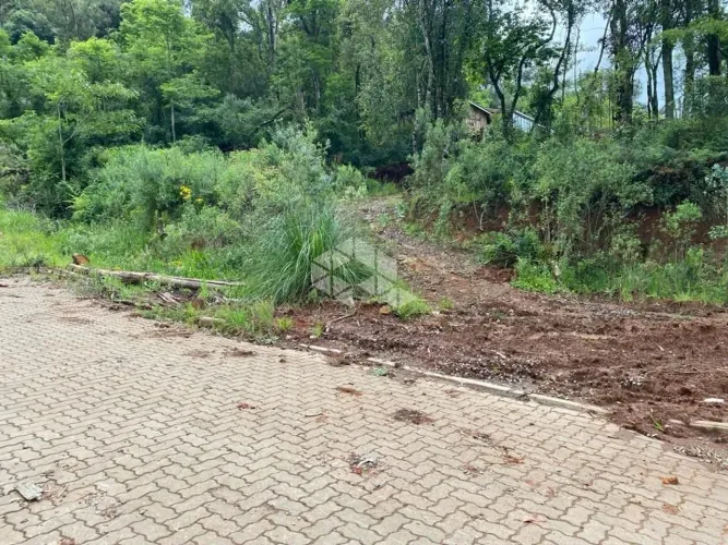 Terreno amplo